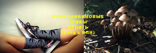 соль ск Верхнеуральск