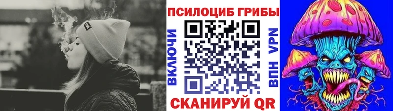 Псилоцибиновые грибы MAGIC MUSHROOMS  где купить   Пикалёво 